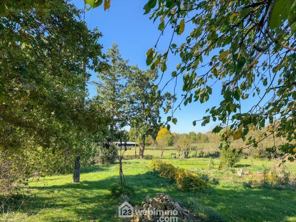 Un jardin non attenant avec puits, potager etc.. - Maison à POUZAUGES