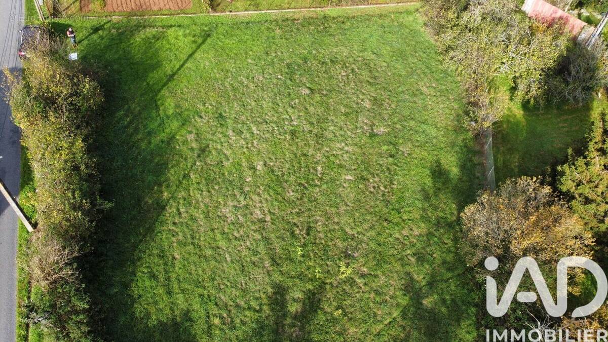 Photo 1 - Terrain à CHAZELLES