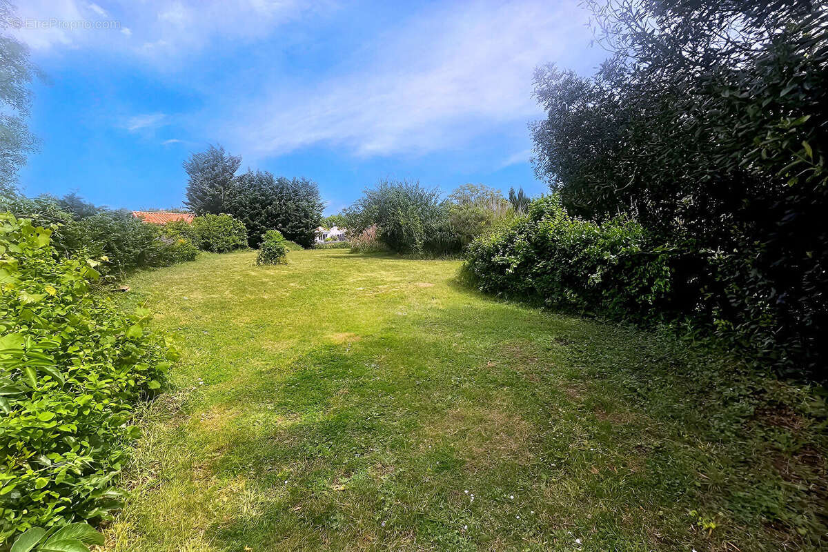 Maison 4 chambres 90 m2 sur terrain  constructible  de 3030 m2 - photo 3