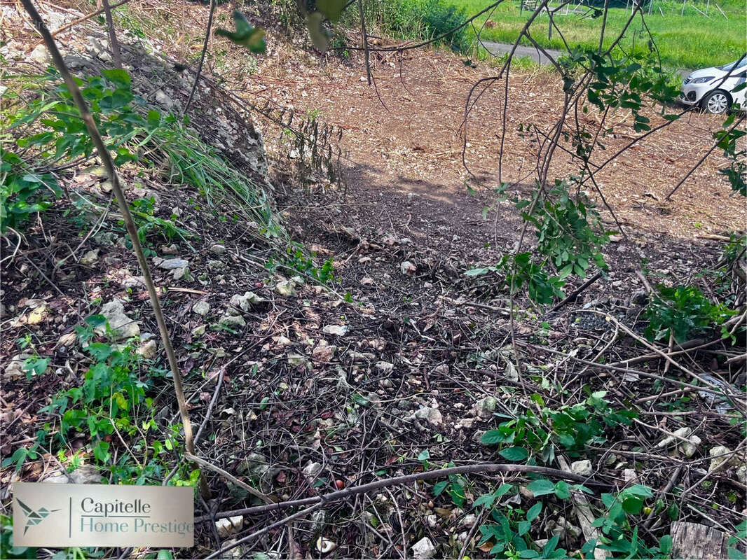 Terrain à SAINTE-ANNE