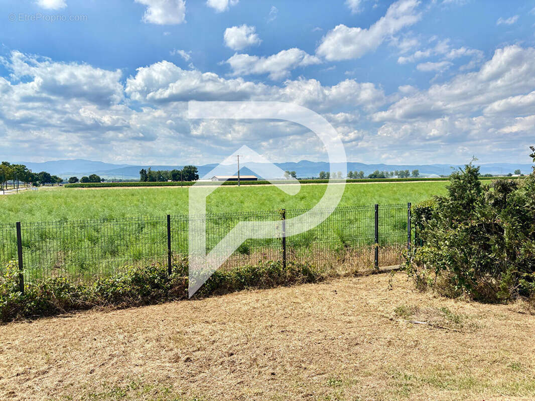 Maison à NIEDERENTZEN