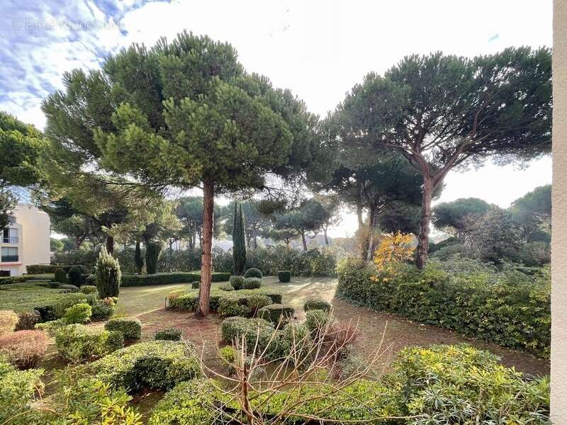 Appartement à LA GRANDE-MOTTE