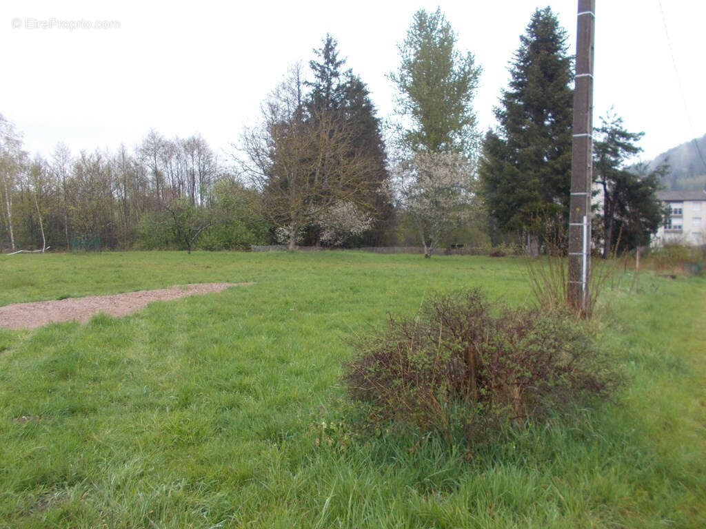 Terrain à LA BOURGONCE