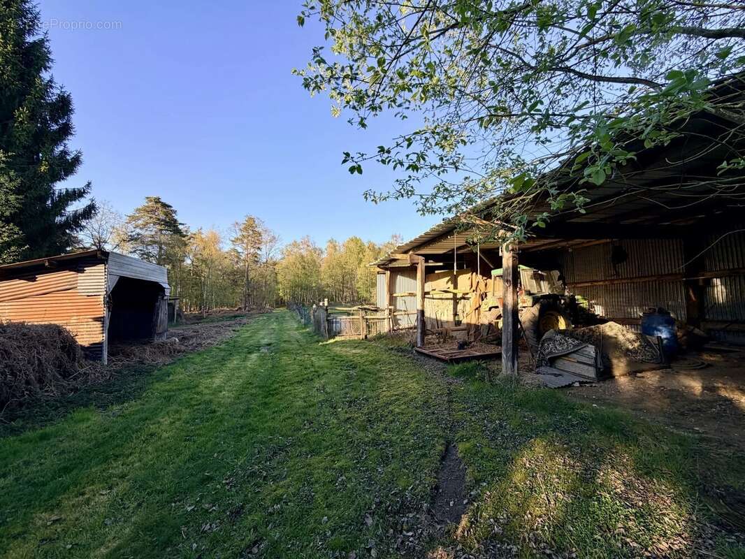 Maison neo-norman de 3ch - 7ha de terrain dont foret - sous-sol - photo 12