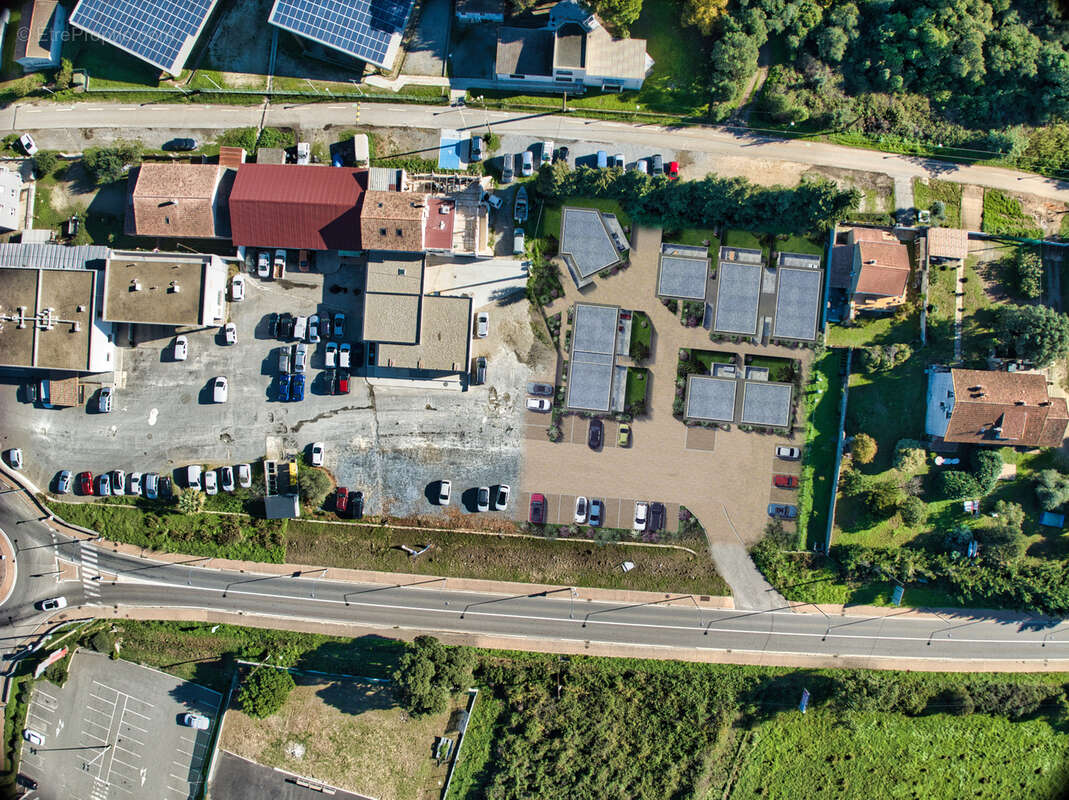 Appartement à CERVIONE