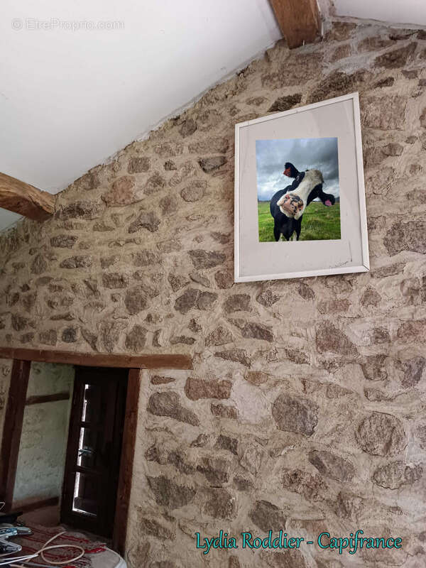 Fermette 10 pièces - grande grange - Rare à SAINT VICTOR MONTVIANEIX (63550) en Auvergne-Rhône Alpes - photo 19
