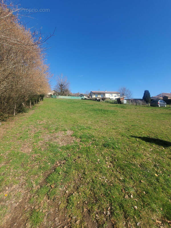 Terrain à POULE-LES-ECHARMEAUX
