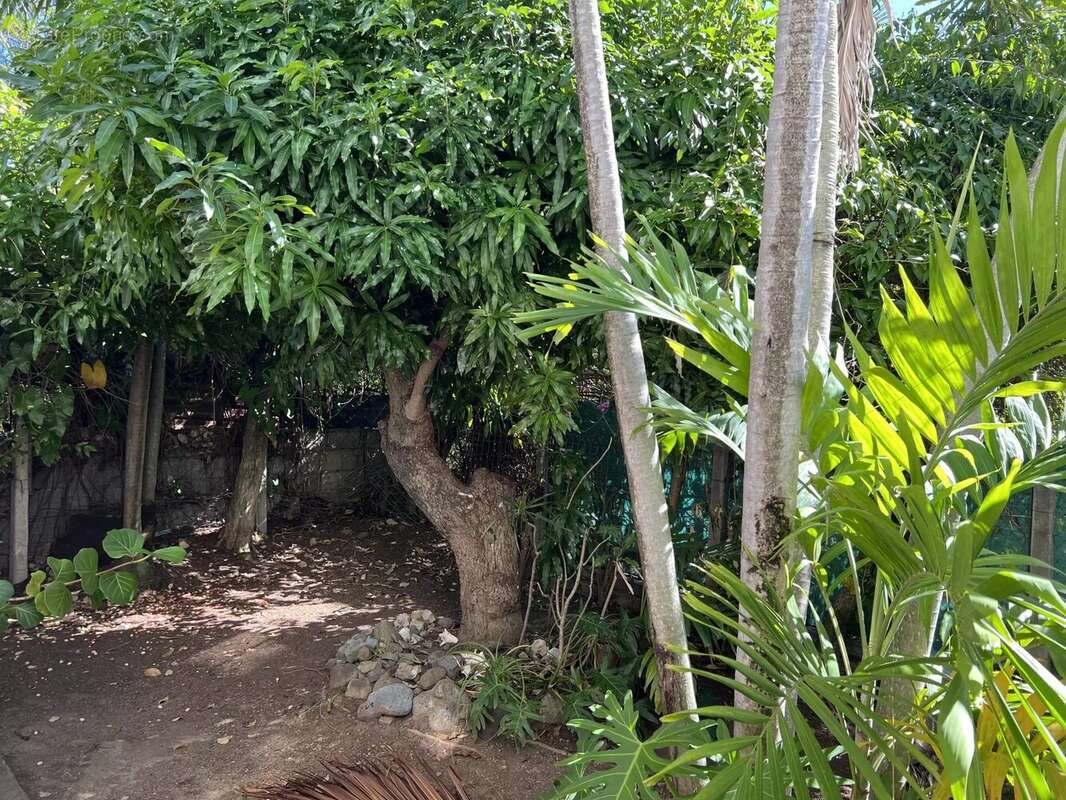 Maison à BASSE-TERRE