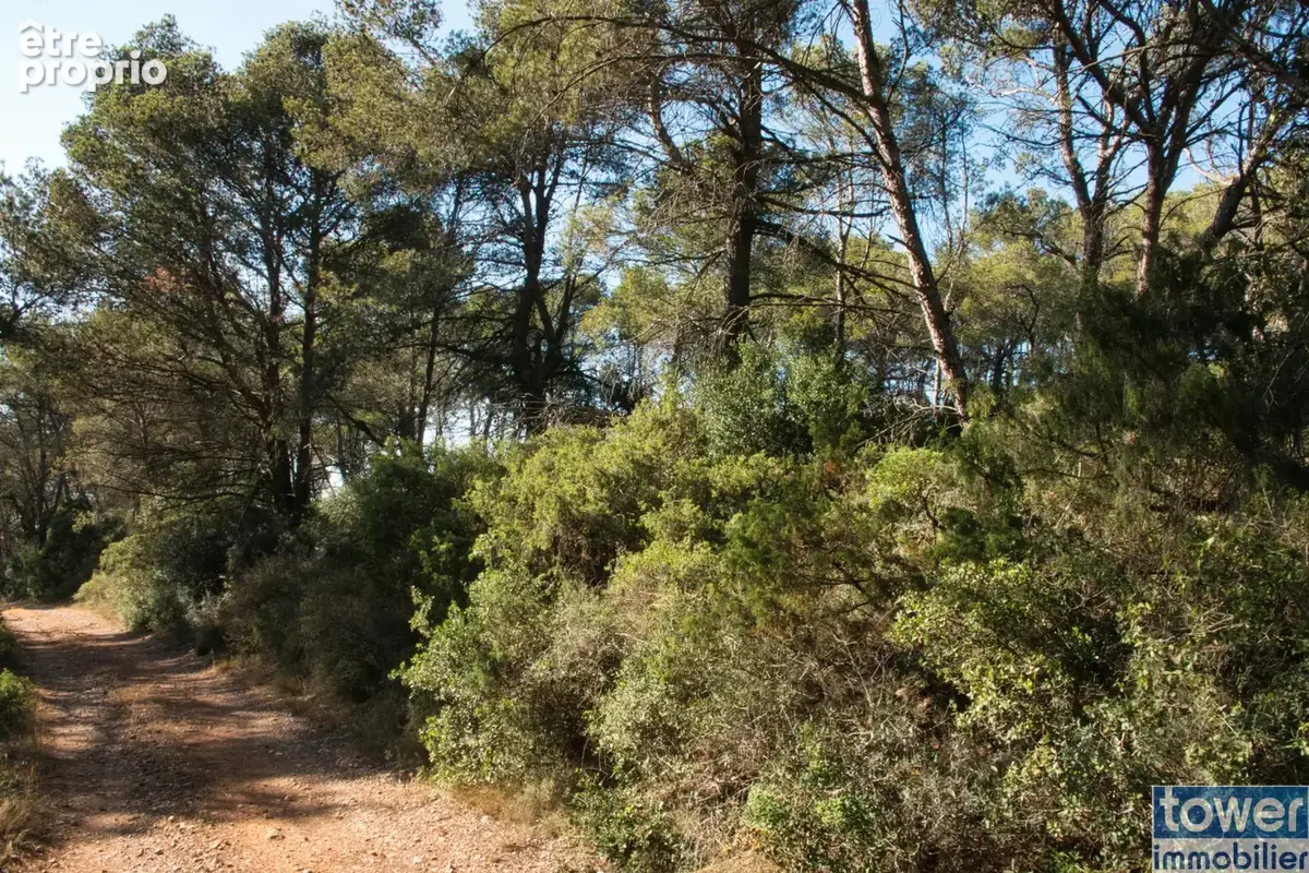 Fabrezan-Terrain 4 ha non constructible en Zone Naturelle - photo 4