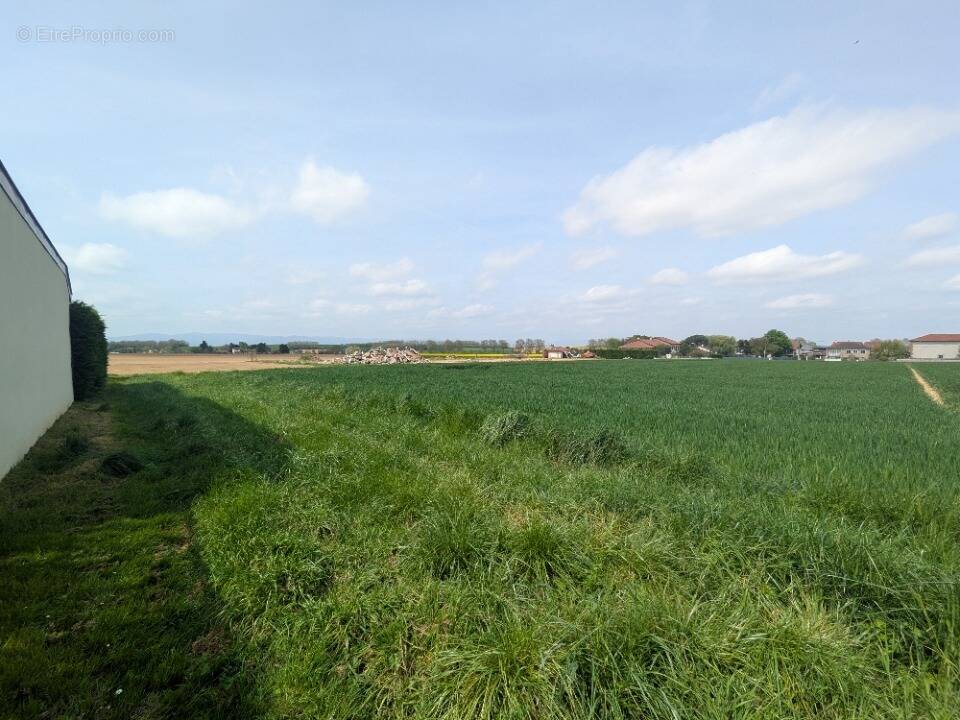 Terrain à ARS-SUR-FORMANS