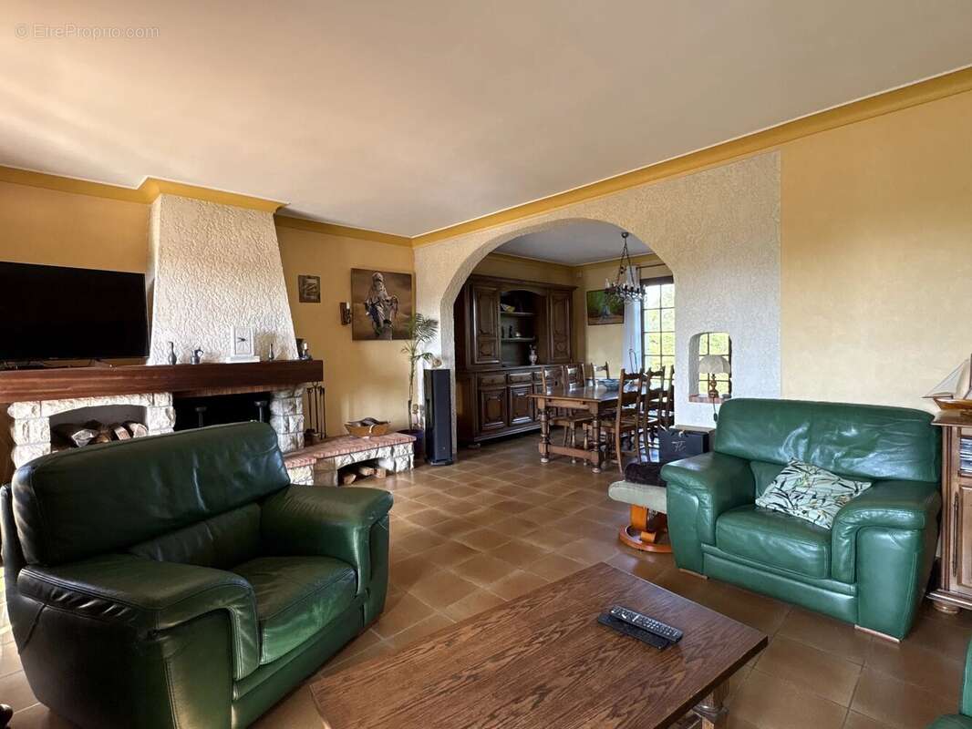 La salvetat saint-gilles - maison t6/7 - photo 7