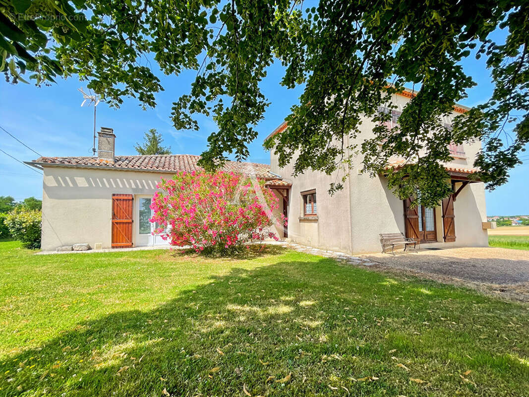 Maison à MASSELS