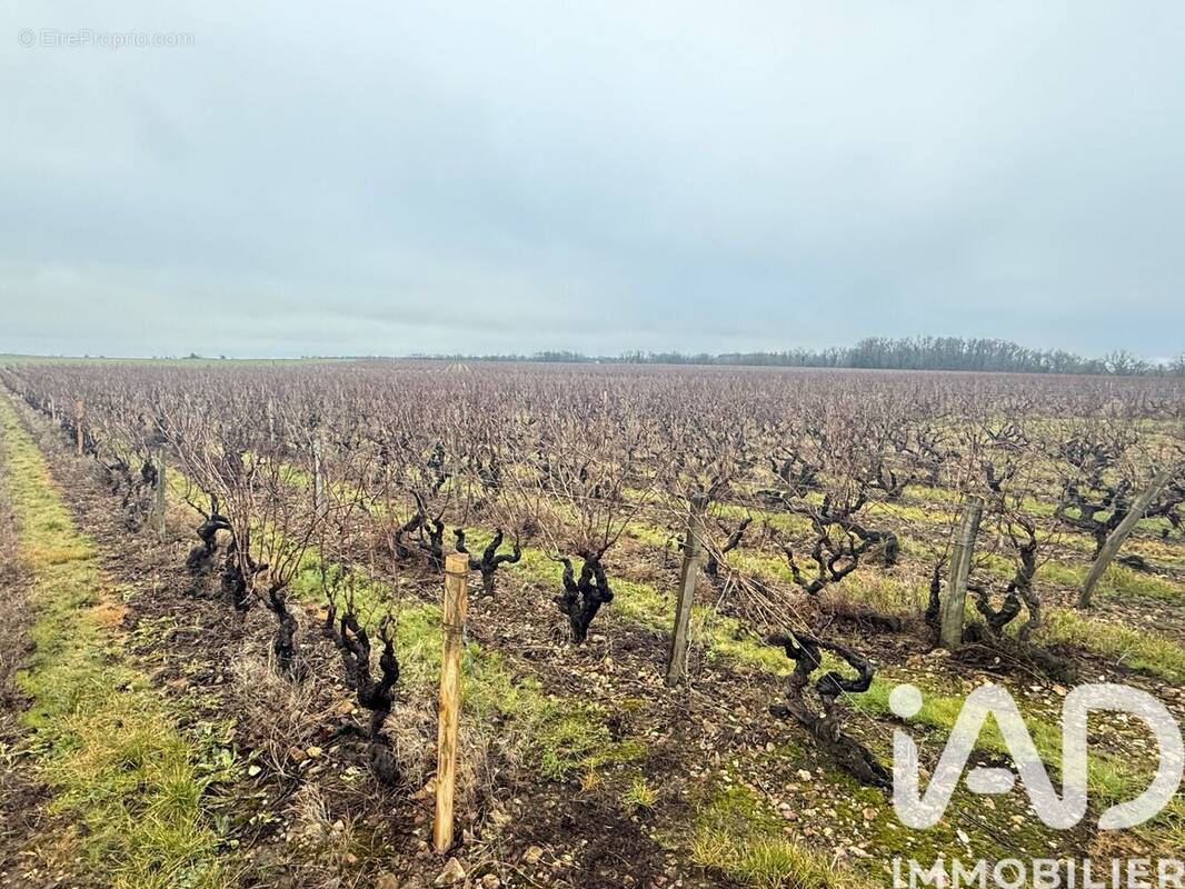 Photo 1 - Terrain à VERNOU-SUR-BRENNE