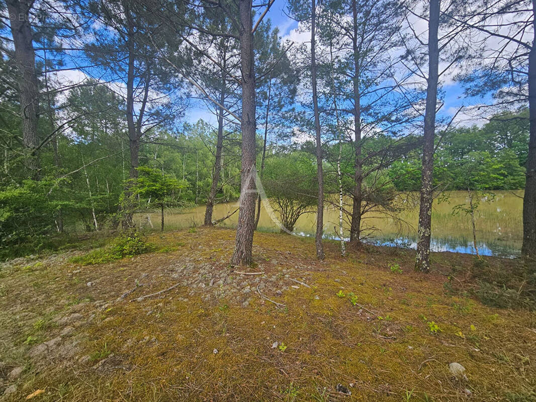 Terrain à CERE-LA-RONDE