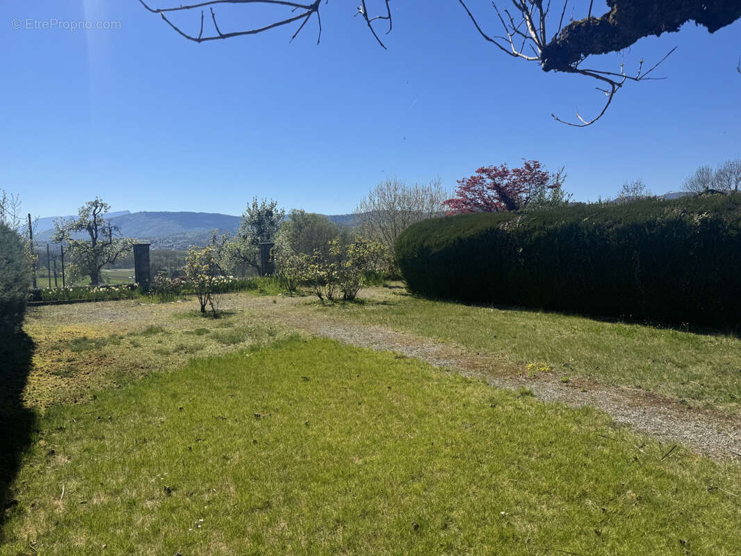 Terrain à SAINT-FELIX