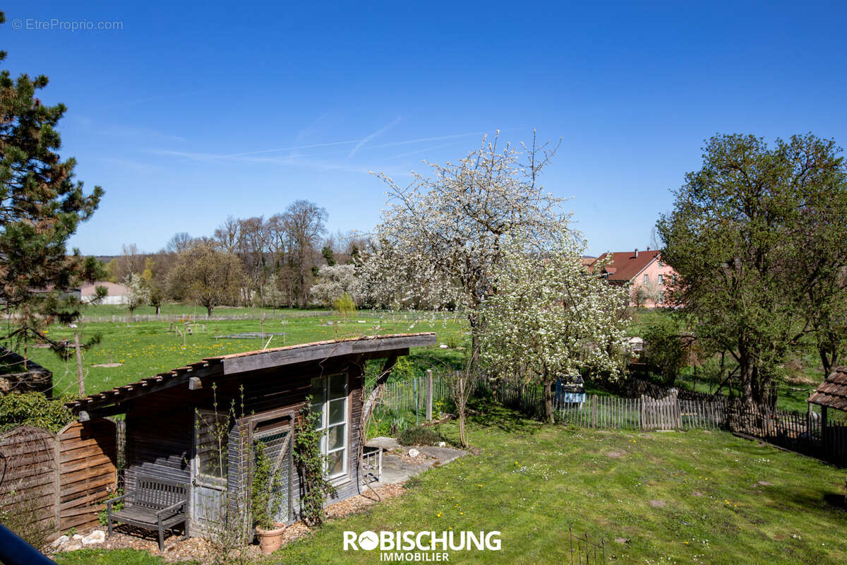 Maison à BIEDERTHAL