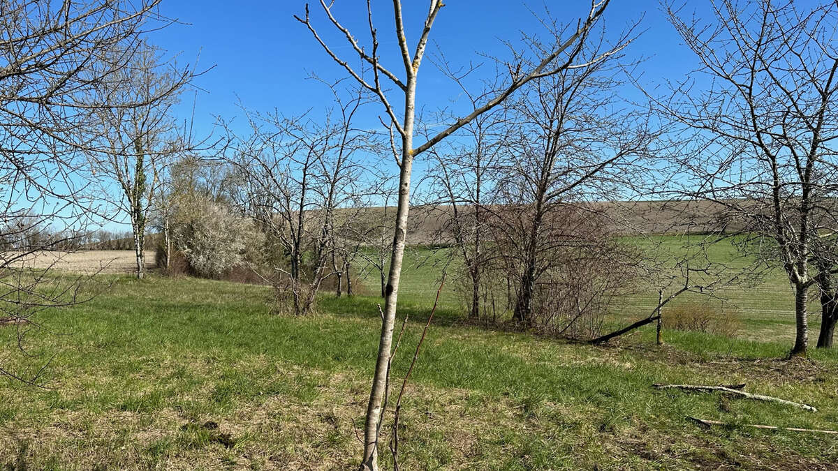 Maison à BOUTEILLES-SAINT-SEBASTIEN