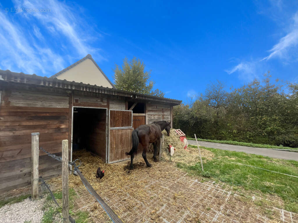 Maison à SAINT-VENANT