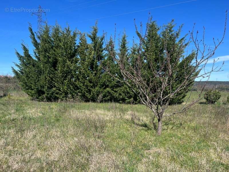 Terrain de loisirs de 2600m² à vendre à COLLIAS (30) - Environnement naturel privilégié - photo 2