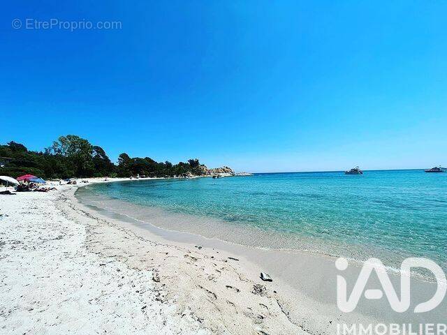 Photo 1 - Appartement à SARI-SOLENZARA