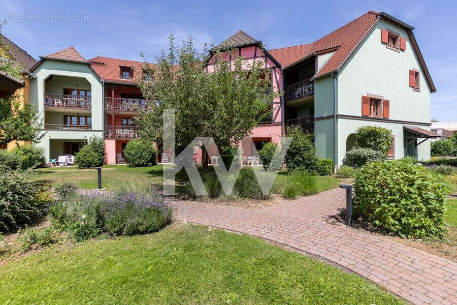 Appartement 31 m² à Eguisheim  - photo 3