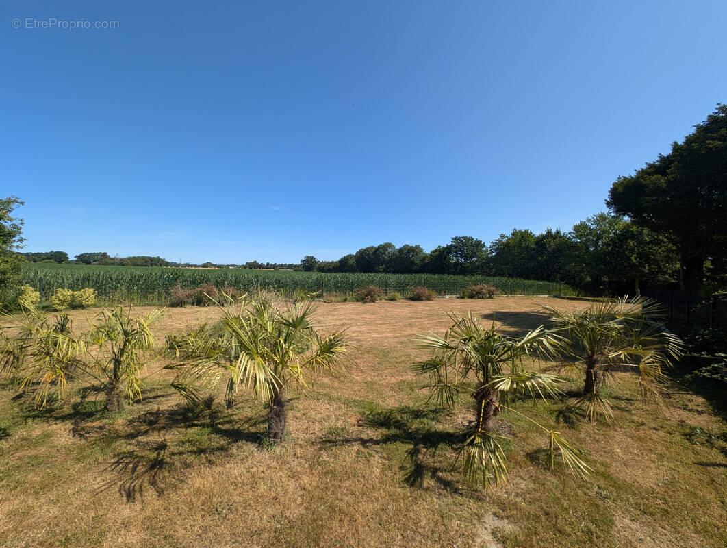 Terrain à PONT-SCORFF