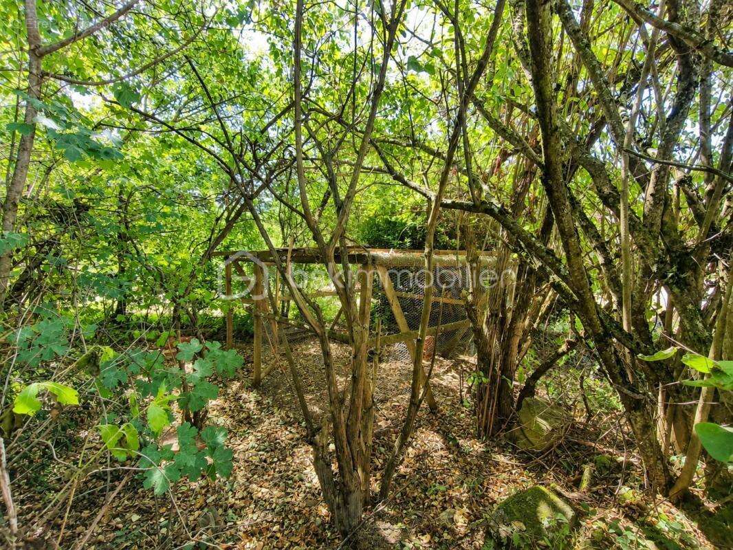 Maison en pierre rénovée avec grange – Un havre de paix au cœur de la campagne - photo 15