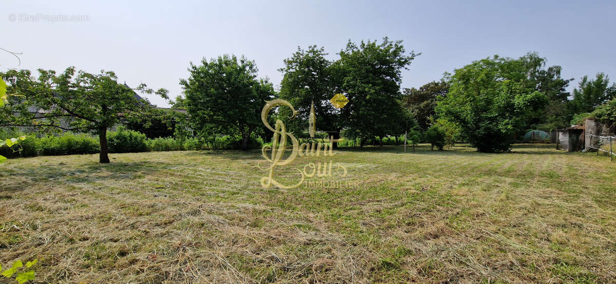 Terrain à CHAMPIGNY-SUR-VEUDE