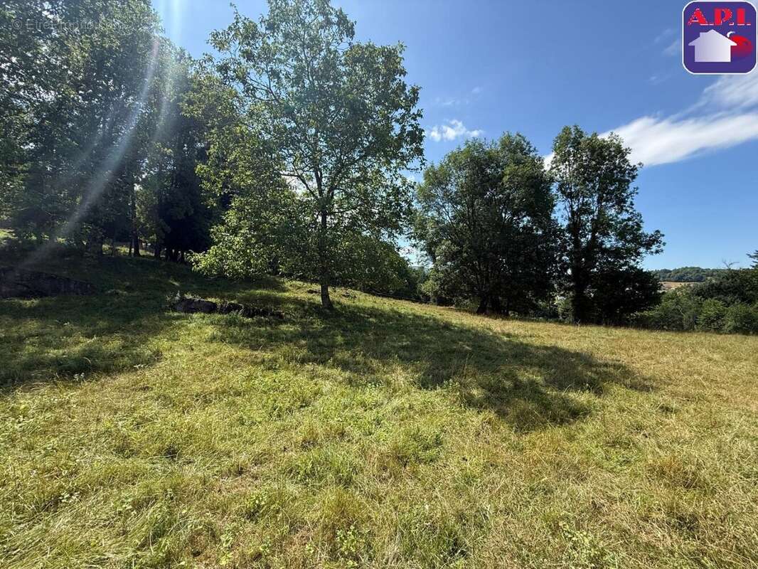 Terrain à SAINT-GIRONS