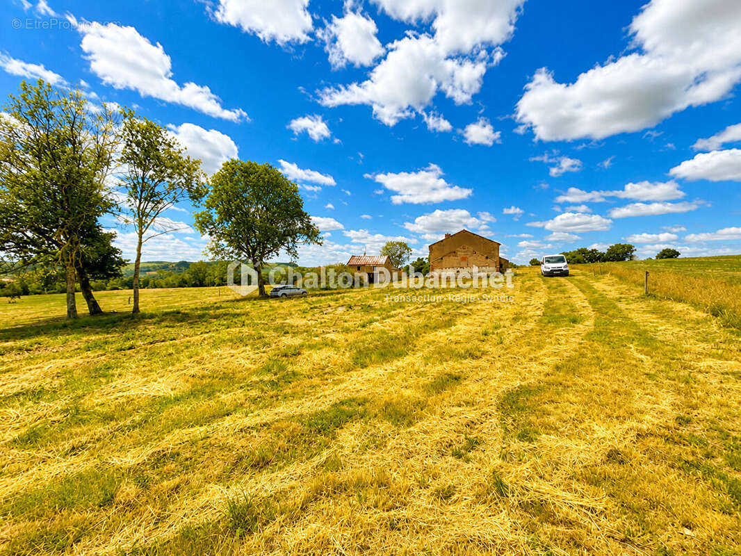 Terrain de 4576 m²  avec deux bâtiments en ruine à MONTAIGUET EN FOREZ - photo 2