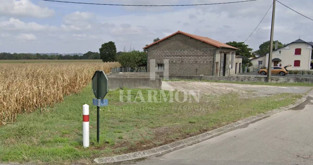 Terrain à MAZEROLLES