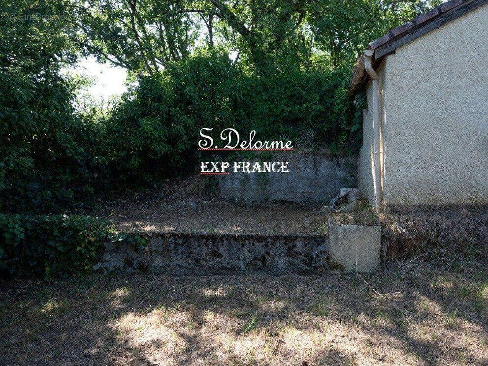 Espace du jardin derrière de cabanon e Jardin 