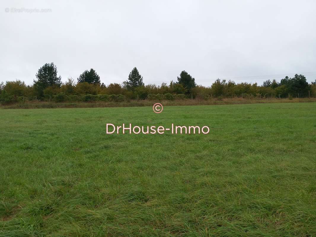 Terrain à CHESLEY
