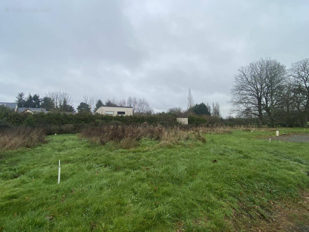 Terrain à CESSON-SEVIGNE