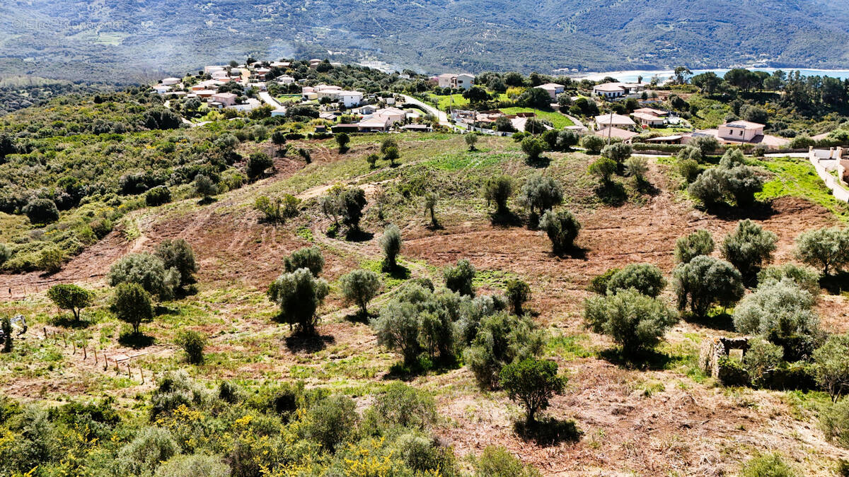 Terrain à CALCATOGGIO