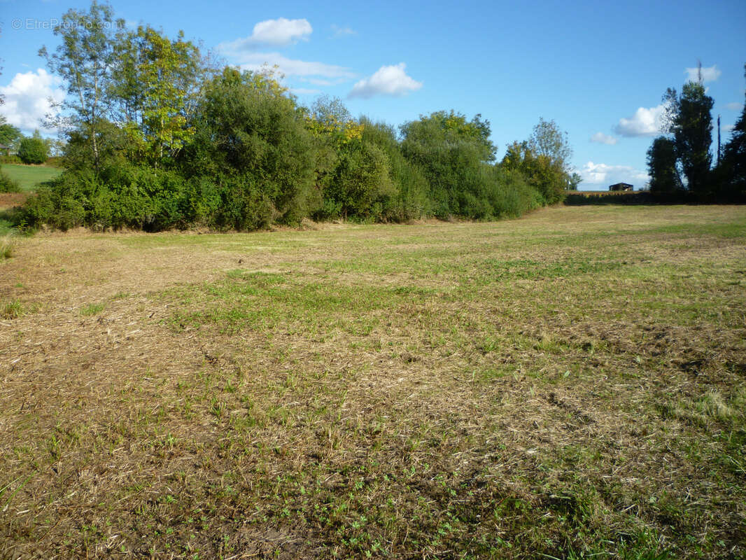Terrain de loisir - photo 3