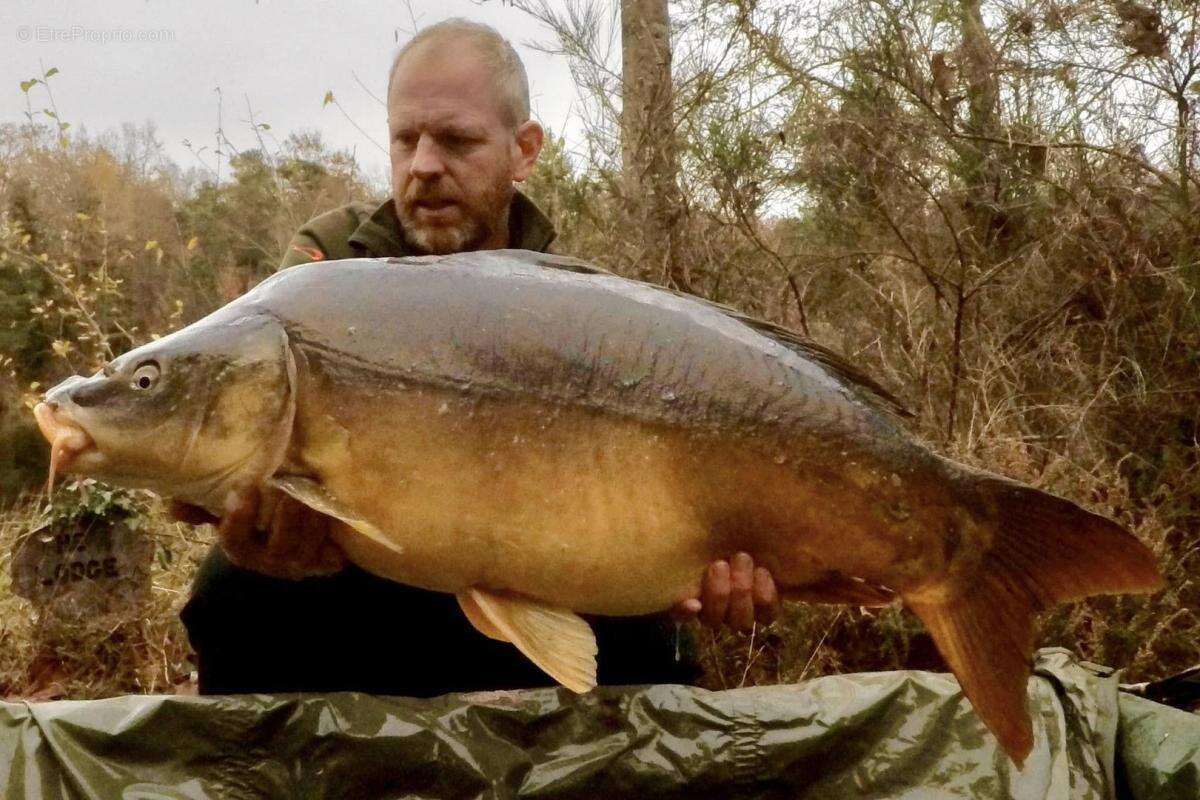 Terrain à LA CHAPELLE-MONTBRANDEIX