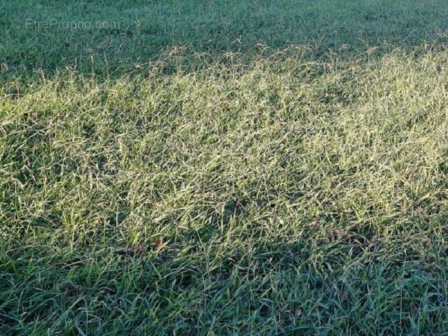 Terrain à VILLEMOLAQUE