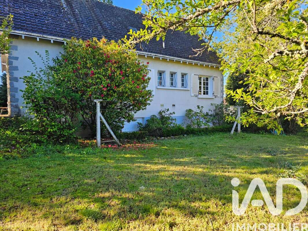 Photo 6 - Maison à ROCHECHOUART