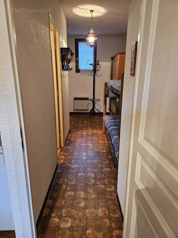 Entrée et son coin montagne - Appartement à SEYNE