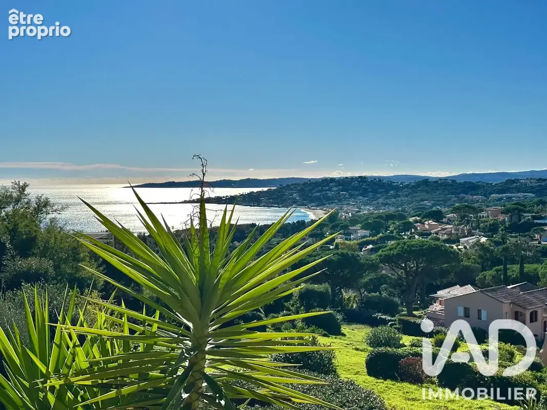 Photo 1 - Appartement à SAINTE-MAXIME