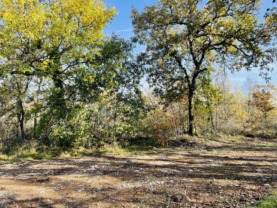 Terrain à SAINT-CERNIN-DE-LARCHE