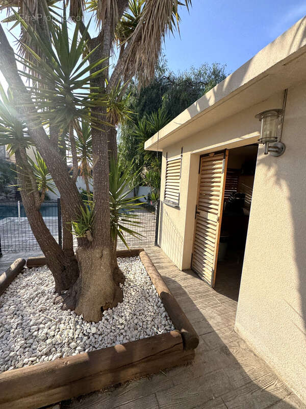 Maison à CANET-EN-ROUSSILLON