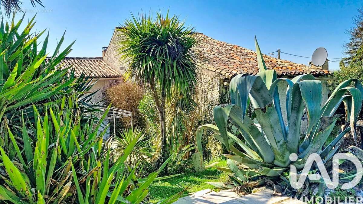 Photo 3 - Maison à SAINT-DIZANT-DU-GUA