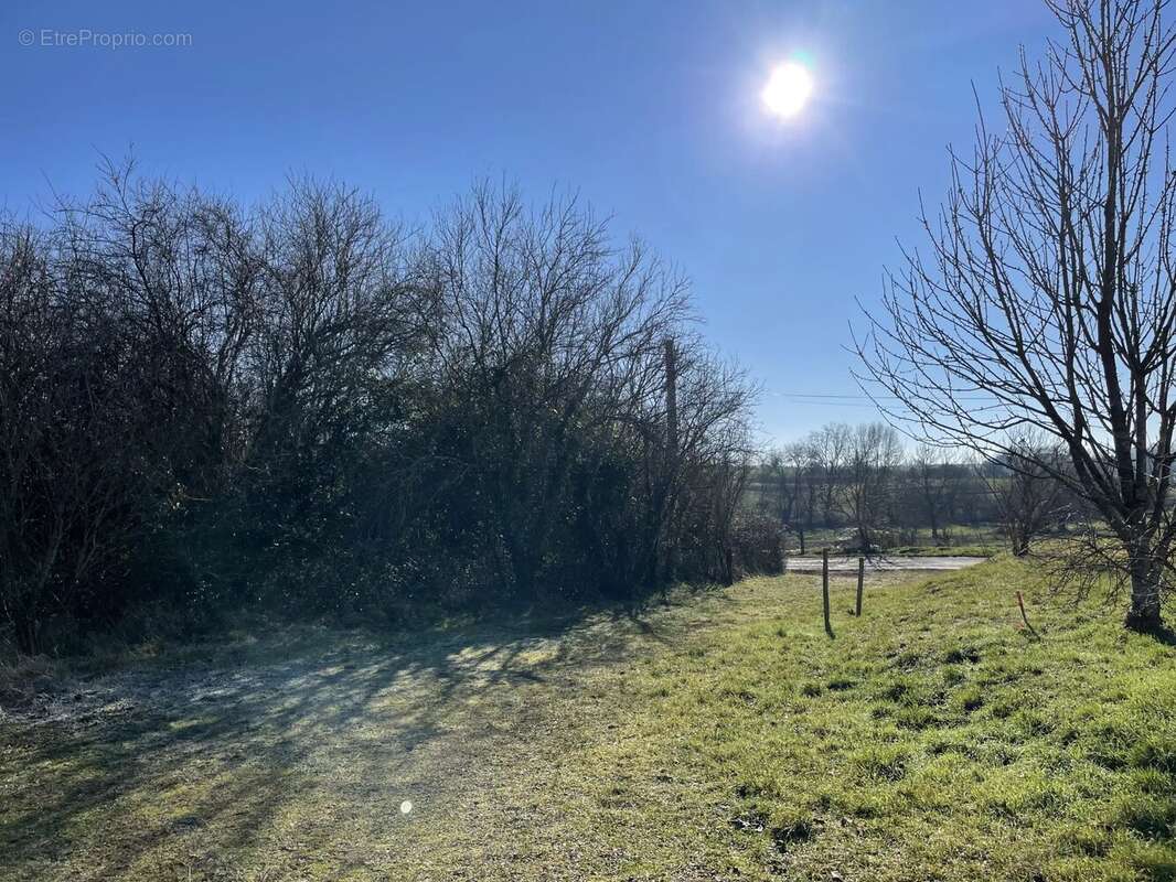 Terrain à VERTEILLAC