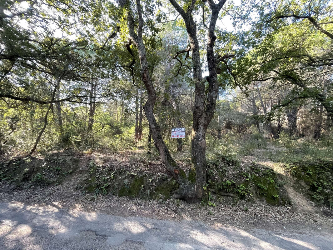 Terrain à ARGELES-SUR-MER
