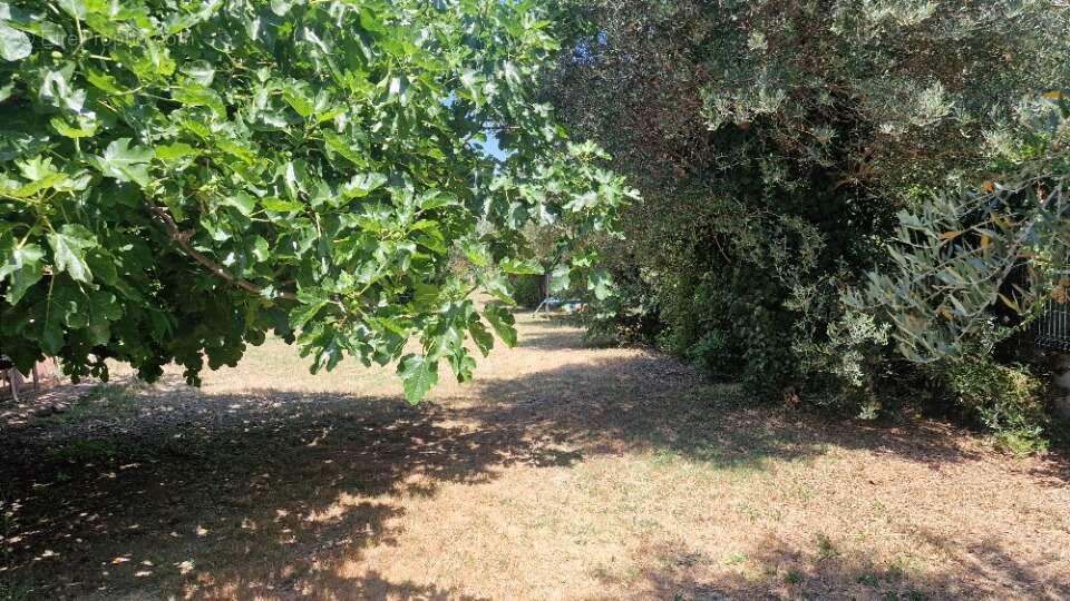 Terrain à LA PENNE-SUR-HUVEAUNE