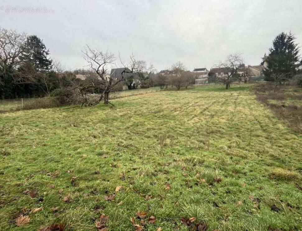 Terrain à SAINTRY-SUR-SEINE