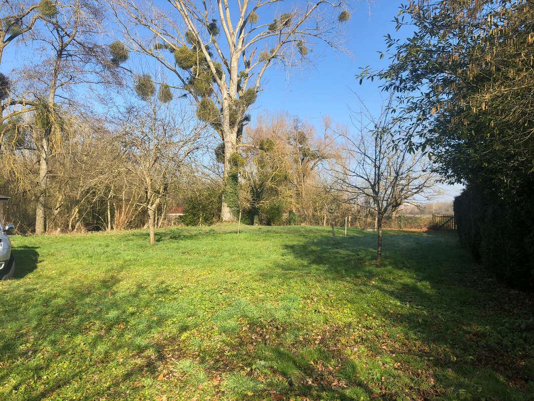 Terrain à RUVIGNY