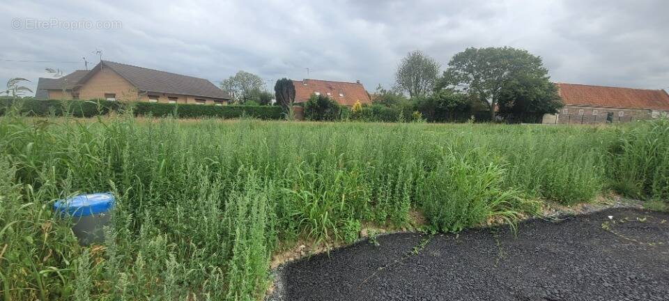 Terrain à SAINT-OMER